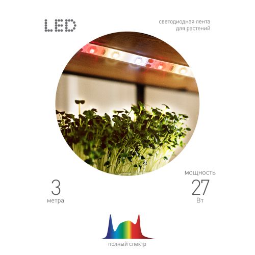 Лента светодиодная FITO-Strip Light-Rа90-3m 3м для растений полноспектральная IP65 Эра Б0059881 Лента светодиодная FITO-Strip Light-Rа90-3m 3м для растений полноспектральная IP65 Эра Б0059881