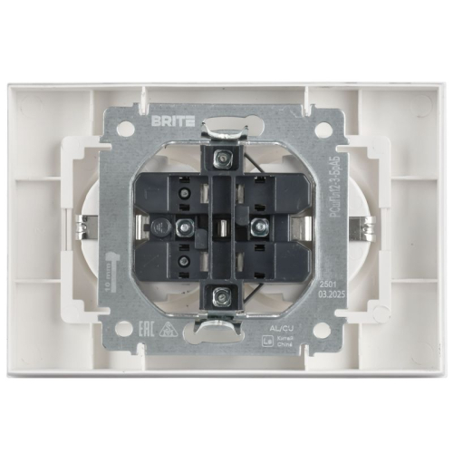 Розетка 2-м СП BRITE РСшПл12-3-БрАБ 16А в сборе с заземл. защ. шторки плоская арктич. бел. IEK BR-R28-16-K91-F фото 5