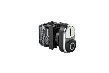 Кнопка сдвоенная выступающая (1НО+1НЗ) черн./бел. EMAS B102K21HB