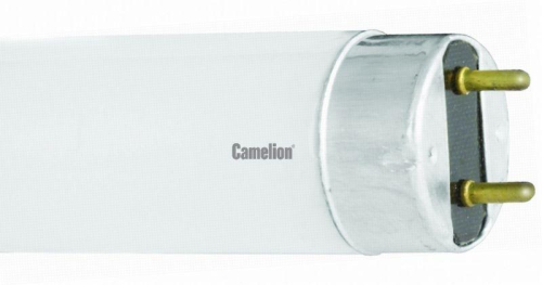 Лампа люминесцентная FT8-15W/54 15Вт T8 6500К G13 Camelion 3007 Лампа люминесцентная FT8-15W/54 15Вт T8 6500К G13 Camelion 3007