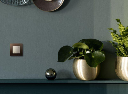 Механизм светорегулятора нажимного СП Etika 400Вт сл. кость. IEK 672318 фото 6 Механизм светорегулятора нажимного СП Etika 400Вт сл. кость. IEK 672318 фото 6