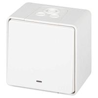 Переключатель Эксперт 11-1507-01 с подсветкой IP55 10АХ-250В ОУ бел. Эра Б0063255