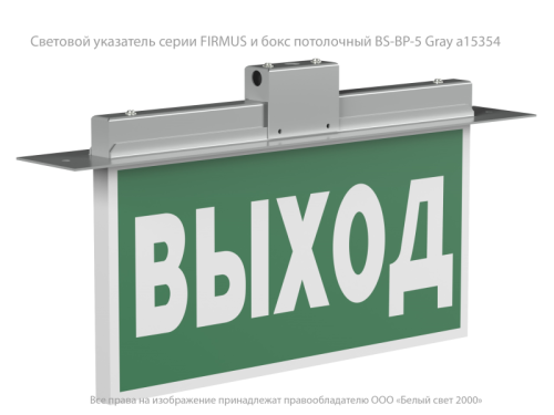 Указатель световой BS-FIRMUS-71-S1-INEXI2 Белый свет a18967 фото 2 Указатель световой BS-FIRMUS-71-S1-INEXI2 Белый свет a18967 фото 2