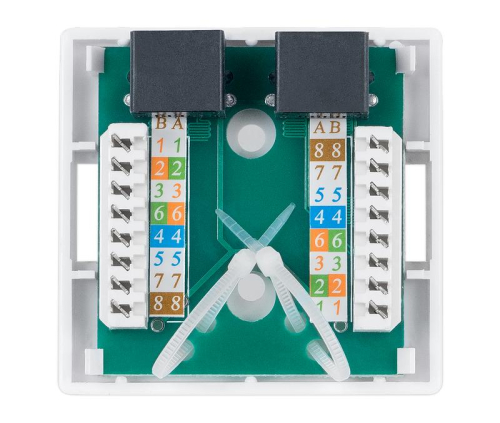 Розетка компьютерная 2-м ОП WS-8P8C-Cat.5e-2 RJ45 кат.5E Dual IDC Cabeus 7247c фото 4