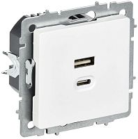 Розетка СП BRITE РЮ11-2-БрАБ USB A+C 45Вт высокоскор. заряд. арктич. бел. IEK BR-U22-045-K91