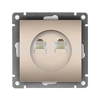 Розетка компьютерная 2-м СП Афина RJ45 кат.5E механизм шампань Universal A1086-Br