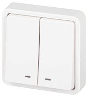 Выключатель Эксперт 11-1525-01 двойн. с подсветкой IP55 10АХ-250В СУ бел. Эра Б0063304