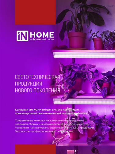 Лампа светодиодная LED-A60-FITO 15Вт A60 грушевидная E27 230В для растений IN HOME 4690612036502 фото 7 Лампа светодиодная LED-A60-FITO 15Вт A60 грушевидная E27 230В для растений IN HOME 4690612036502 фото 7