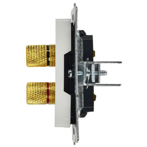 Аудиорозетка 4-м BRITE РА10-БрБ механизм бел. IEK BR-S40-K01 фото 7 Аудиорозетка 4-м BRITE РА10-БрБ механизм бел. IEK BR-S40-K01 фото 7