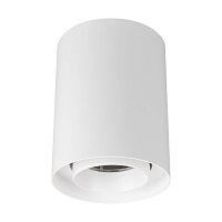 Светильник светодиодный SP-FOCUS-R110-18W Day4000 WH 50deg 230В IP54 18Вт 4000К метал. Arlight 054866