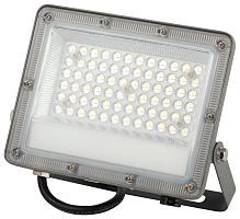 Прожектор светодиодный PRO LPR-063-0-65K-050 50Вт 6500К IP65 5000лм Г 90град. сер. Эра Б0067705