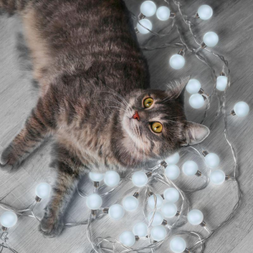 Гирлянда светодиодная садовая Solar "Большие Шары" 10 ламп бел. IP44 GAUSS GS033 фото 6