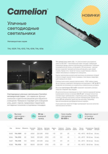 Светильник THL-1016 150Вт 5700К IP65 18000лм 220-240В 454х175х24 КСС "Ш" 1/5 НПВ уличный Camelion 16368 фото 2 Светильник THL-1016 150Вт 5700К IP65 18000лм 220-240В 454х175х24 КСС "Ш" 1/5 НПВ уличный Camelion 16368 фото 2