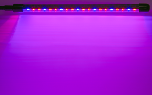 Светильник светодиодный 95 585 NDF-FITO-C01-02-20W-BL 20Вт IP40 на прищепке с таймером для растений красн./син. спектра Navigator 95585 фото 2