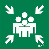 Этикетка самоклеящаяся 150х150мм "Место сбора" IEK LPC10-1-15-15-MSTS