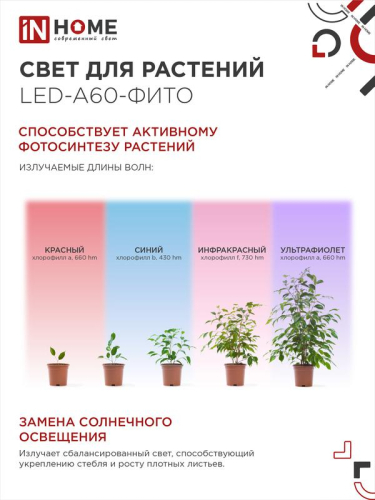 Лампа светодиодная LED-A60-FITO 15Вт A60 грушевидная E27 230В для растений IN HOME 4690612036502 фото 4 Лампа светодиодная LED-A60-FITO 15Вт A60 грушевидная E27 230В для растений IN HOME 4690612036502 фото 4