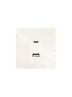 Розетка Type-C+ USB разъем СП ZIMA IP20 слон. кость LEZARD 704-9088-192TC