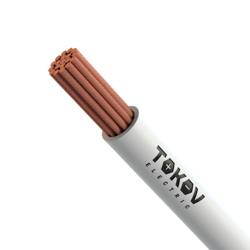 Провод TOKOV ELECTRIC ПуГВнг(А)-LS 1х10 Б 450/750В (м) 00-00028117 Провод TOKOV ELECTRIC ПуГВнг(А)-LS 1х10 Б 450/750В (м) 00-00028117