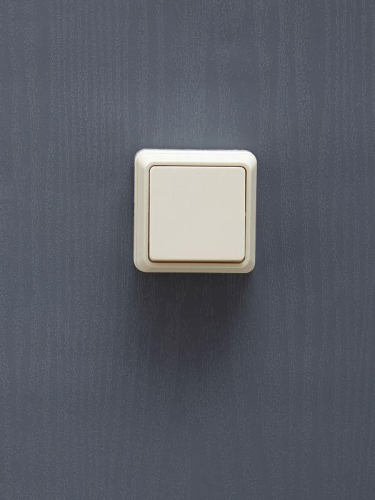 Выключатель 1-кл. ОП Октава 10А IP20 ВС20-1-0-ОКм крем. GENERICA EVO10-K33-10-DC фото 2 Выключатель 1-кл. ОП Октава 10А IP20 ВС20-1-0-ОКм крем. GENERICA EVO10-K33-10-DC фото 2