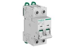 Выключатель автоматический 2п D 4А 6кА Systeme9 400В SE S9F23204