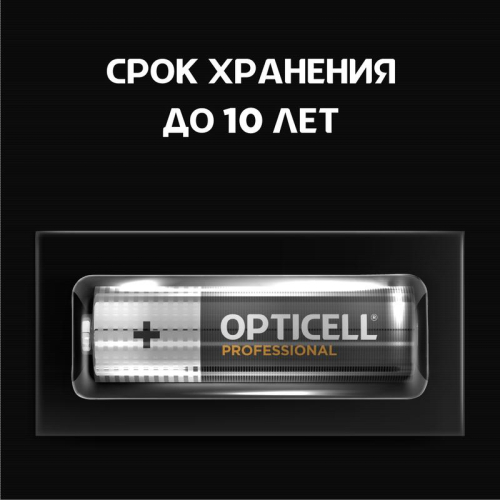 Элемент питания алкалиновый AA/LR6 (блист. 4шт) Professional Opticell 5052001/6052001 фото 2 Элемент питания алкалиновый AA/LR6 (блист. 4шт) Professional Opticell 5052001/6052001 фото 2