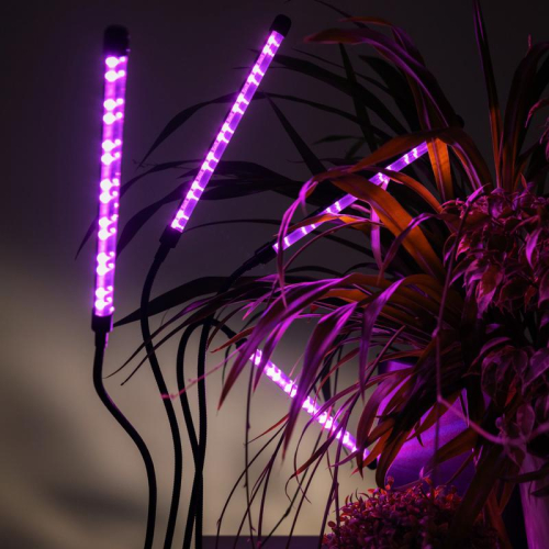 Светильник светодиодный "КРИСТАЛЛ" CTL2-USB-bl Agro 4х10Вт IP40 для растений спектр 4 плафона на прищепке пульт на шнуре красн./син. ФАZА 5068810 фото 9