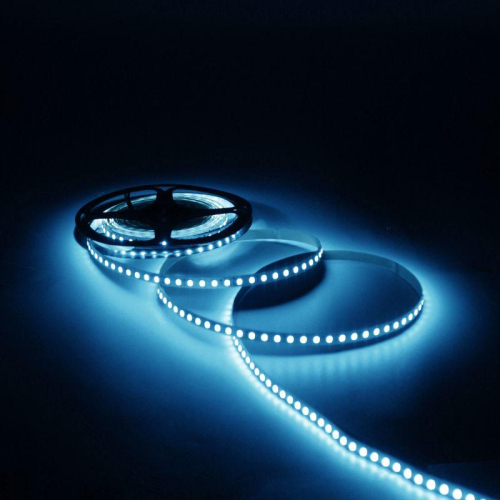 Лента светодиодная Black 2835/120-SMD 6.5Вт/м 5000К холод. бел. IP20 600лм/м 24В (блист.5м) GAUSS 312000265 фото 3 Лента светодиодная Black 2835/120-SMD 6.5Вт/м 5000К холод. бел. IP20 600лм/м 24В (блист.5м) GAUSS 312000265 фото 3