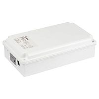 Блок аварийного питания для светильников LED-LP-E120-1-240 универс. до 120Вт 1час IP65 Эра Б0055350