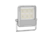 Прожектор светодиодный СДО FL 21 C 50W AM1 840 GR CL 254х239х38мм 50Вт 4000К IP66 уличный сер. Русский Свет 17082123344
