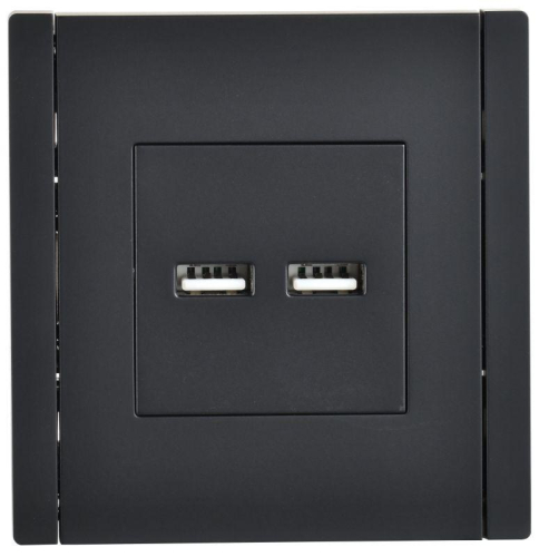Розетка USB A+A 3.1А FORTE&PIANO FP149 черн. IEK FP-U21-D31-K02 фото 2 Розетка USB A+A 3.1А FORTE&PIANO FP149 черн. IEK FP-U21-D31-K02 фото 2