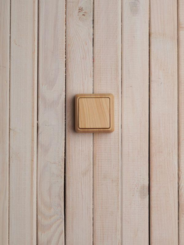 Выключатель 1-кл. ОП Октава 10А IP20 ВС20-1-0-ОС сосна GENERICA EVO10-K03-10-DC фото 5 Выключатель 1-кл. ОП Октава 10А IP20 ВС20-1-0-ОС сосна GENERICA EVO10-K03-10-DC фото 5