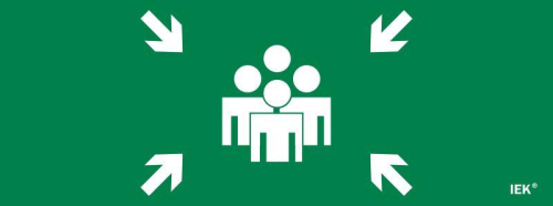 Этикетка самоклеящаяся 350х130мм "Место сбора" IEK LPC10-1-35-13-MSTS