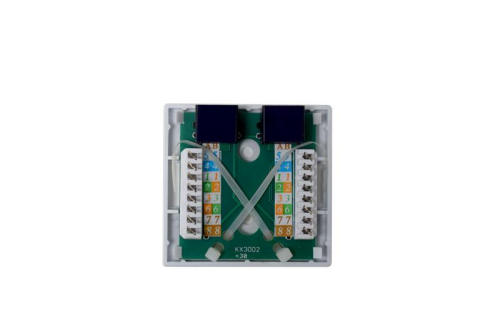 Розетка компьютерная 8P8C (RJ45) UTP кат.5E 2 порта TOKOV ELECTRIC TKE-SMB-8P8C-2P-UTP фото 2